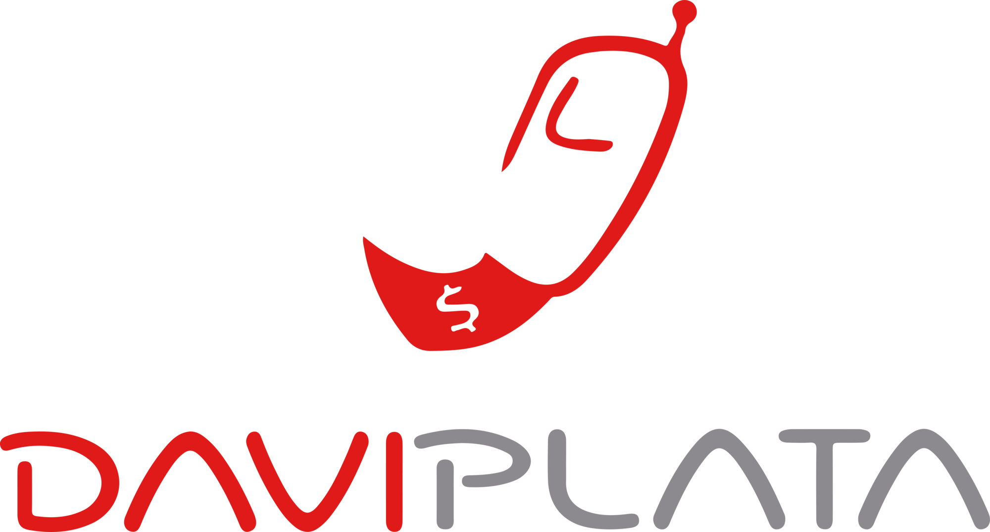 Daviplata Seeklogo